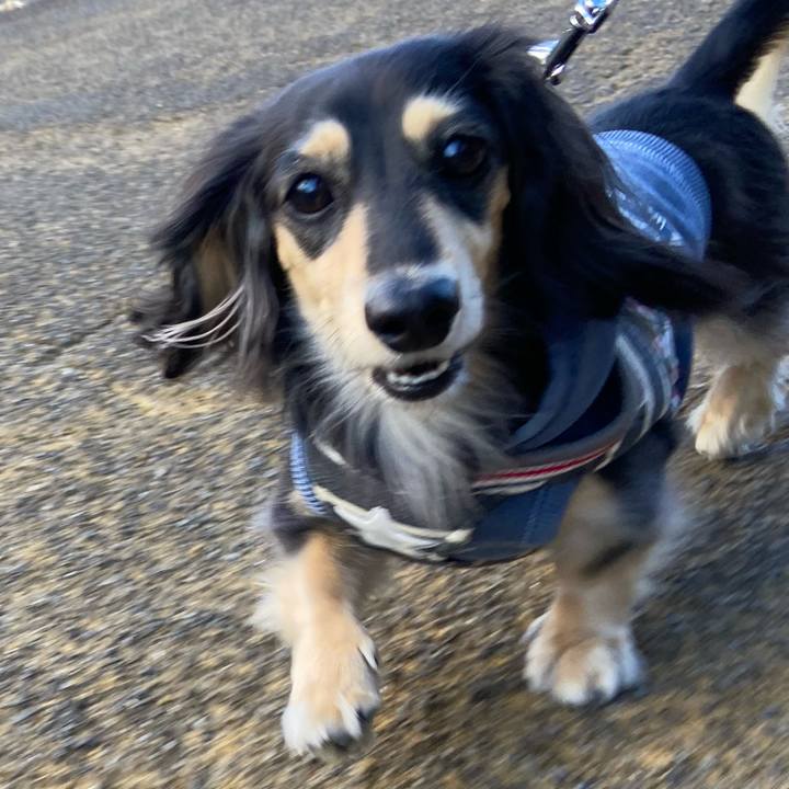 54117db4 627b 403e a0eb 684112422a4c 1737529144859