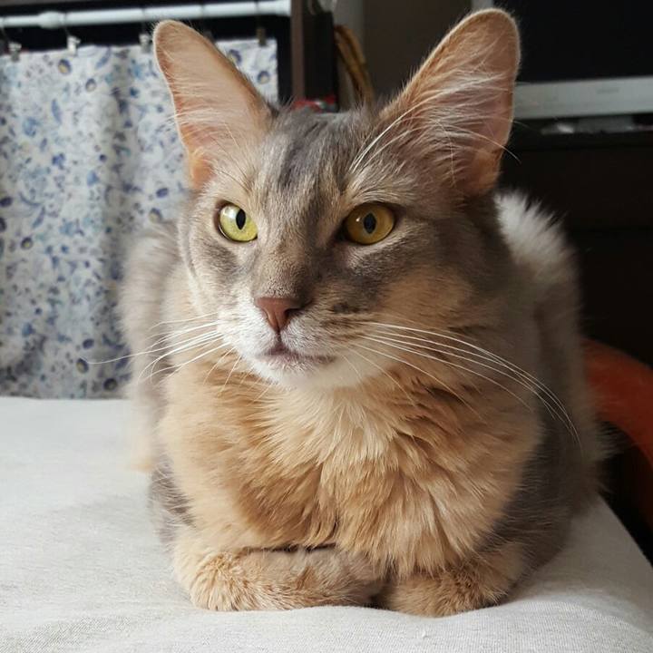 54118ace 6c99 42e1 9e3a 15624f810117 1561791486889