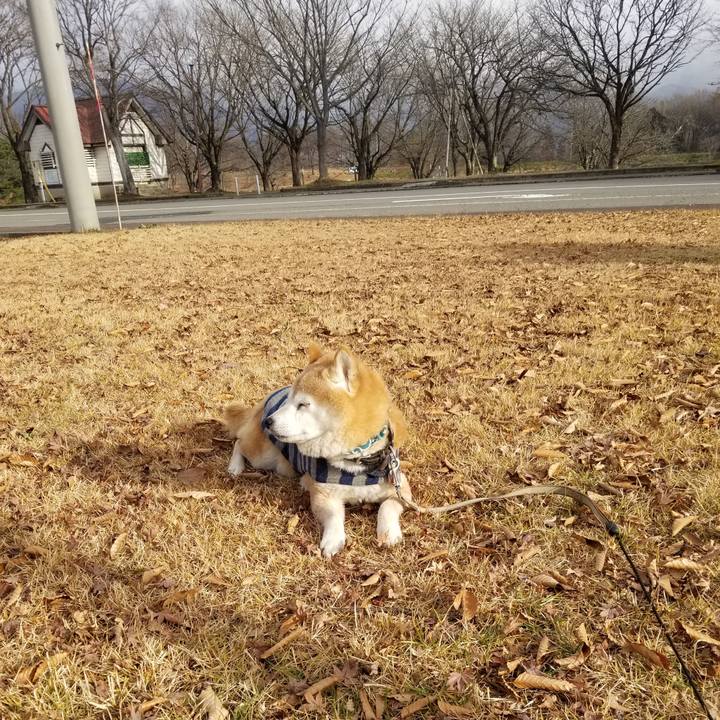 54119268 01f1 4ac3 bda2 30615238ee90 1702789913970