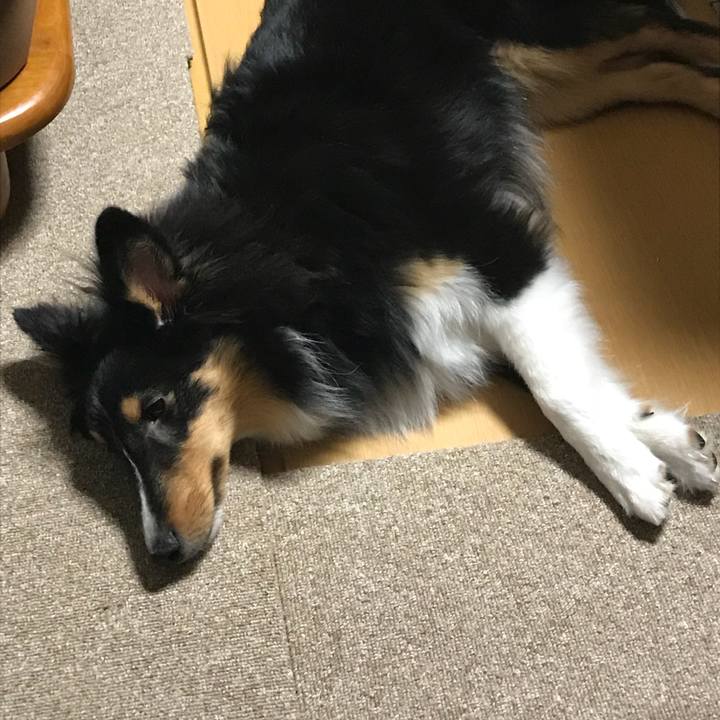 5411a734 f146 4afe b6fd b0985889c16c 1521150692031