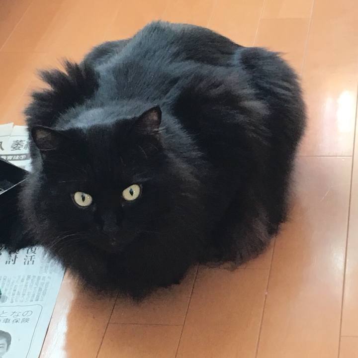 5411ba5d 3f31 45cc 9c4b 8bcdf15e6abd 1545117481350