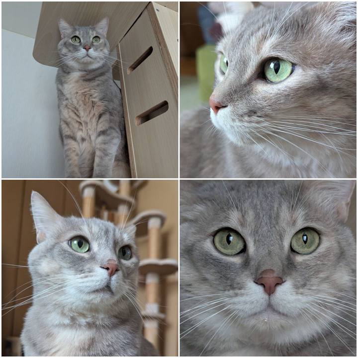 5411ca54 1d8f 498d 90eb 4e128ca89325 1740361346613