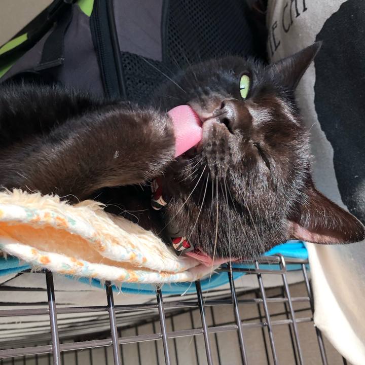 5411cc1e 63dc 4148 aeab a37bd27fb5b7 1572392776729