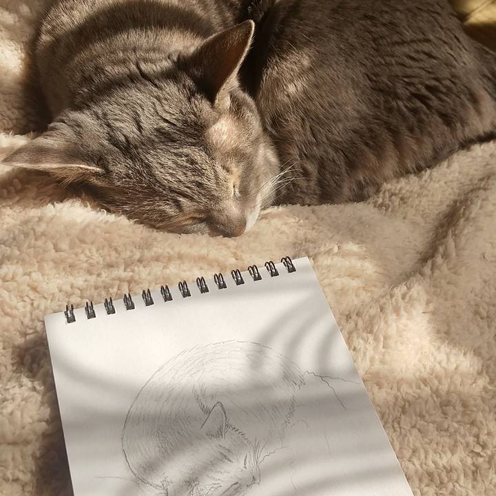 5411edaa 755d 459d 87a1 73edd97c452f 1677811042381