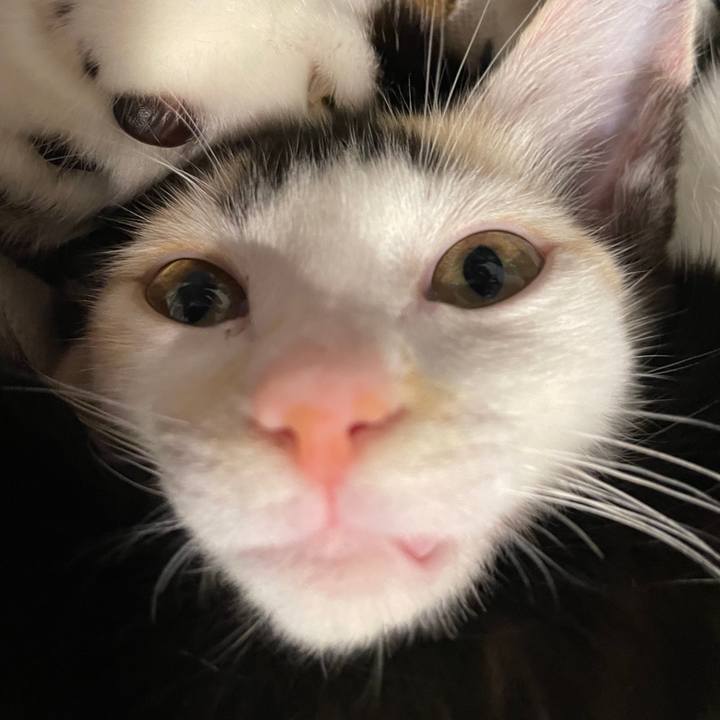 5411fa4e fe30 4543 968a 193d7513f1d2 1658665032004