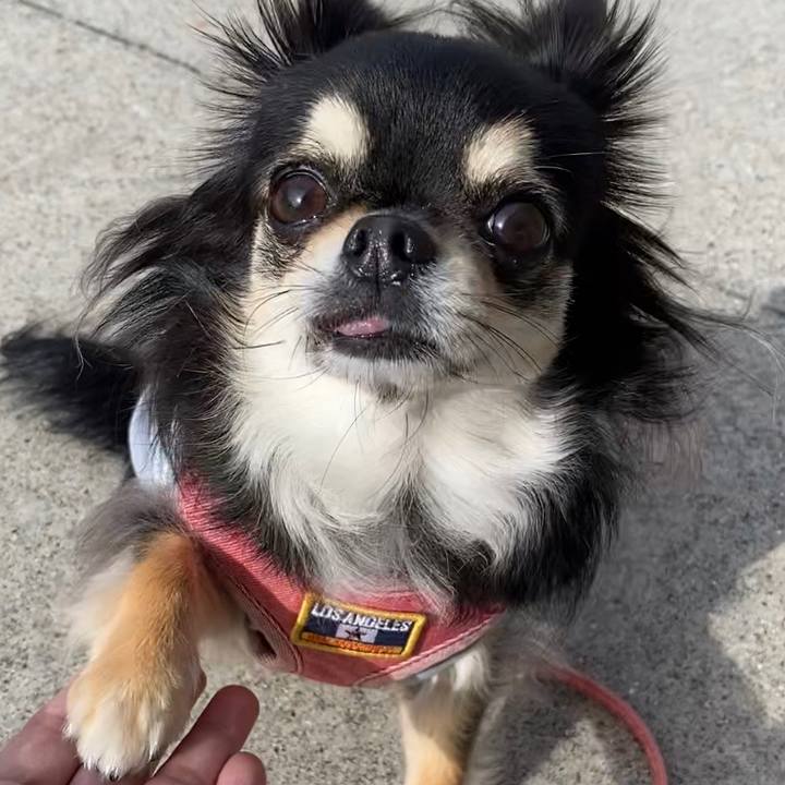 54122280 80e5 43e3 bec9 55d566b8431f 1621985455363