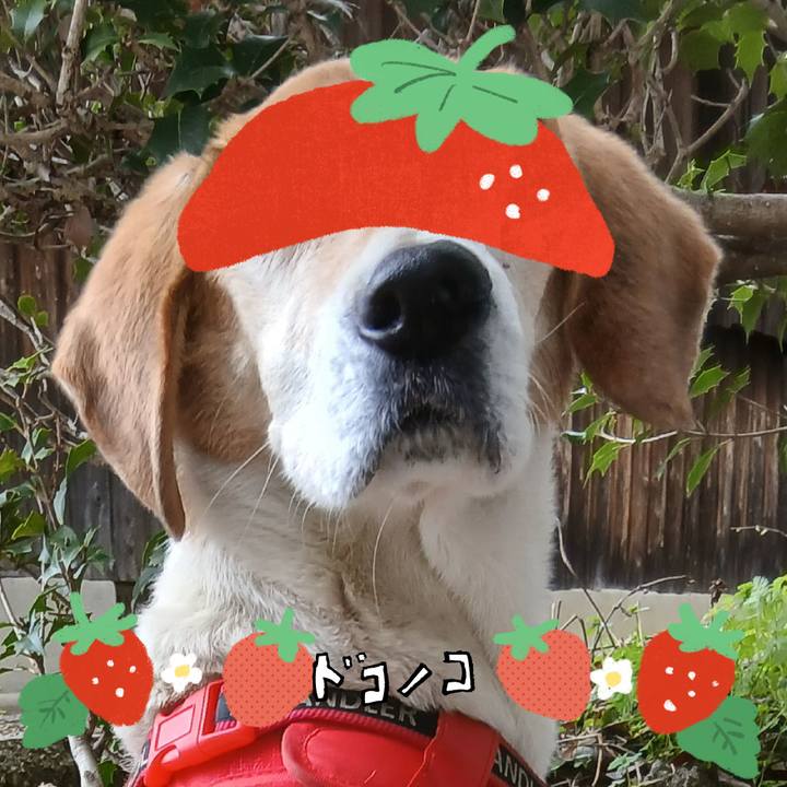 5412261c 0b4c 4b86 a1cd 789c4c19bd1a 1775295562152