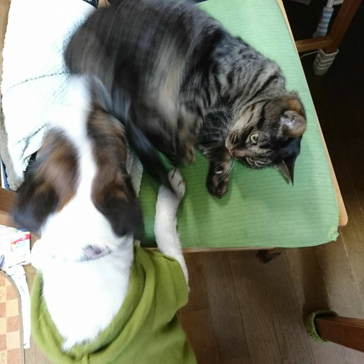 54124063 8491 449a afc4 f39917cf2cc5 1515391752351