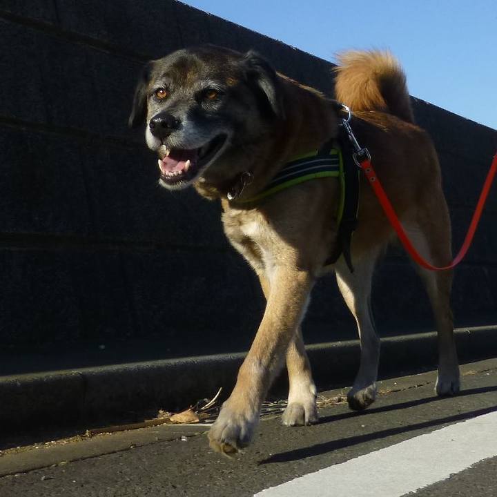 54125ac2 29b4 4db0 a794 8e9387c9fa7e 1581298359205