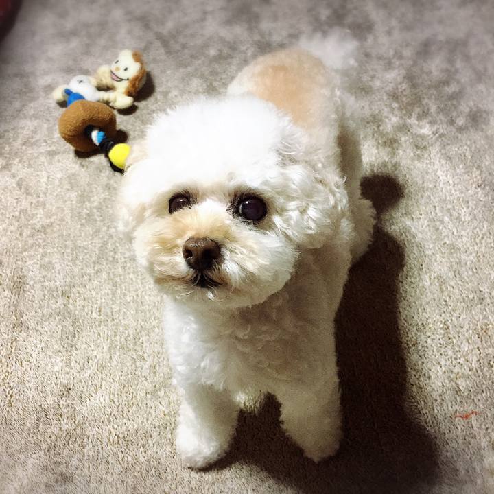 5412646d e739 4fa1 977b 96f9c6450725 1541993037023