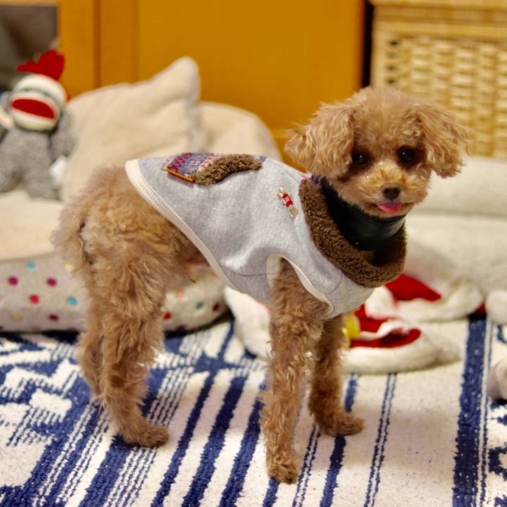 54127950 6175 4a71 8f9d ce602627596b 1546042293927