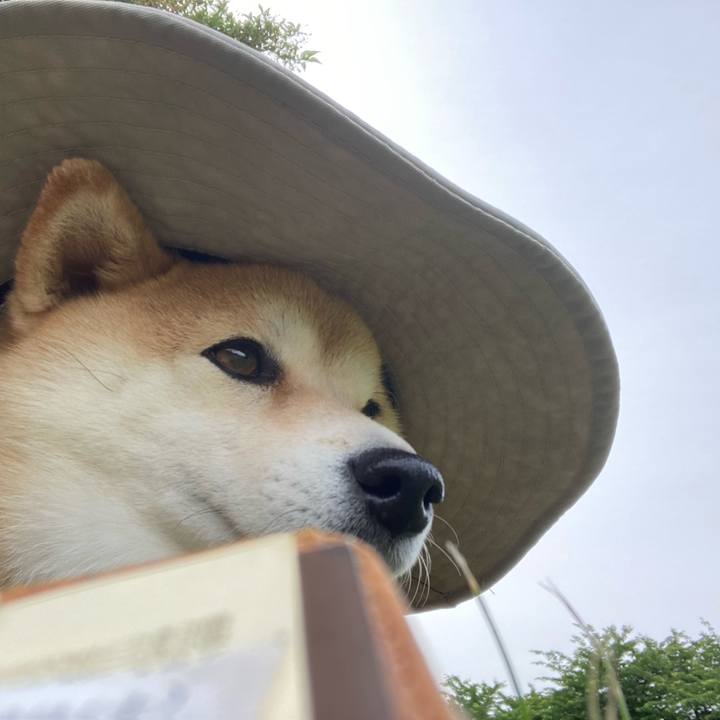 54127fda e26c 45d9 9dbd 8ba5f941ebb5 1717823305707