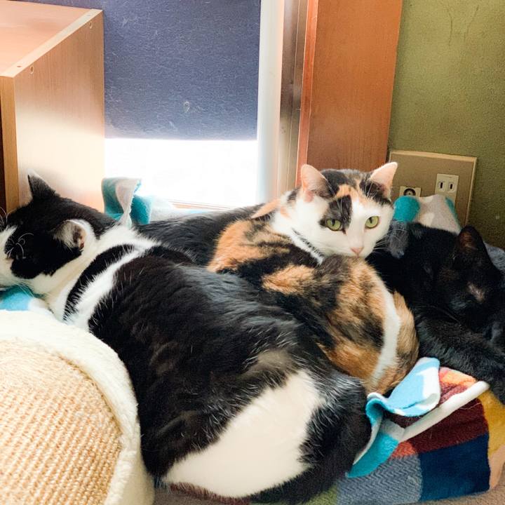 5412b6b0 523a 405c 9929 e0285c96be5d 1585793320166