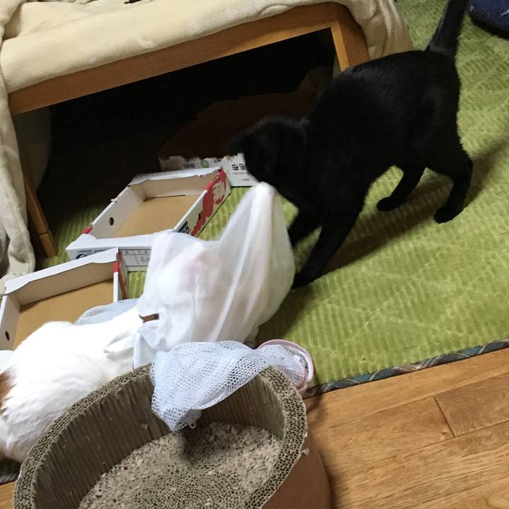 5412b891 0a60 4a40 aef8 8b9df752fe91 1550723431327