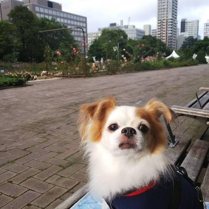 5412c19b 279a 408a 9b06 458e1c173d85 1535701472350