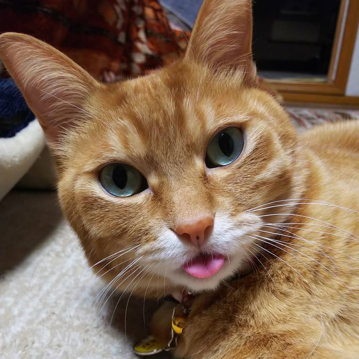 5412e36d b4bd 4bc8 8f7b b3934cf03cd1 1587212887737