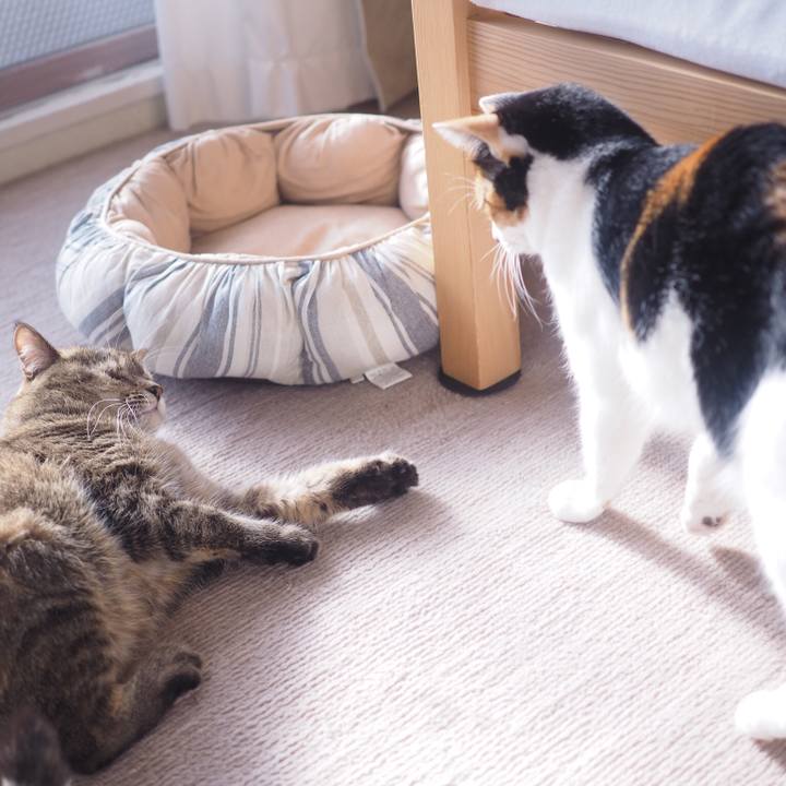 5412e8f3 787b 4377 a84a 94545b4285d5 1515627940087