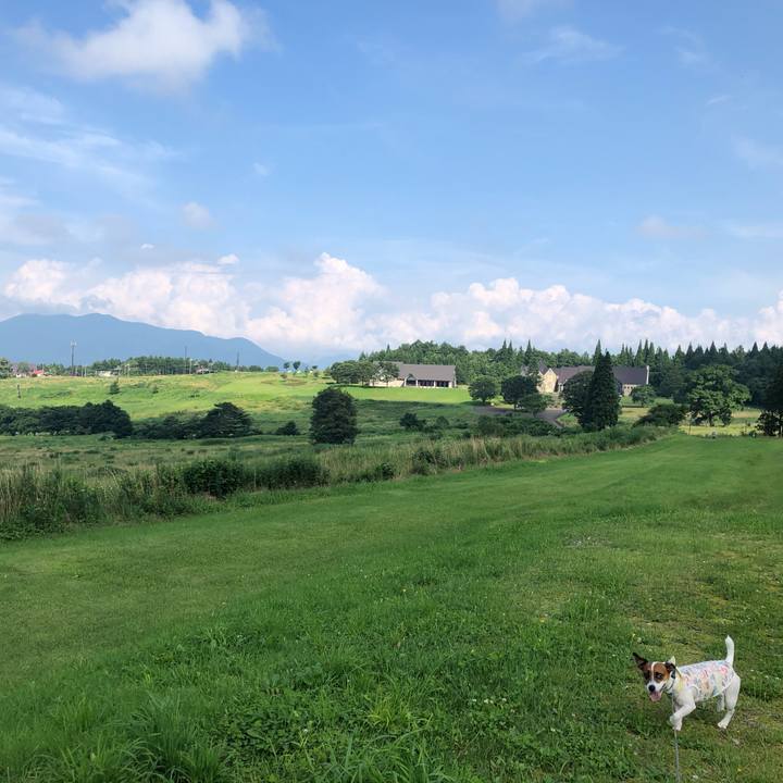 5412eed8 33a5 4f76 b786 5a0b61857d68 1596364459084