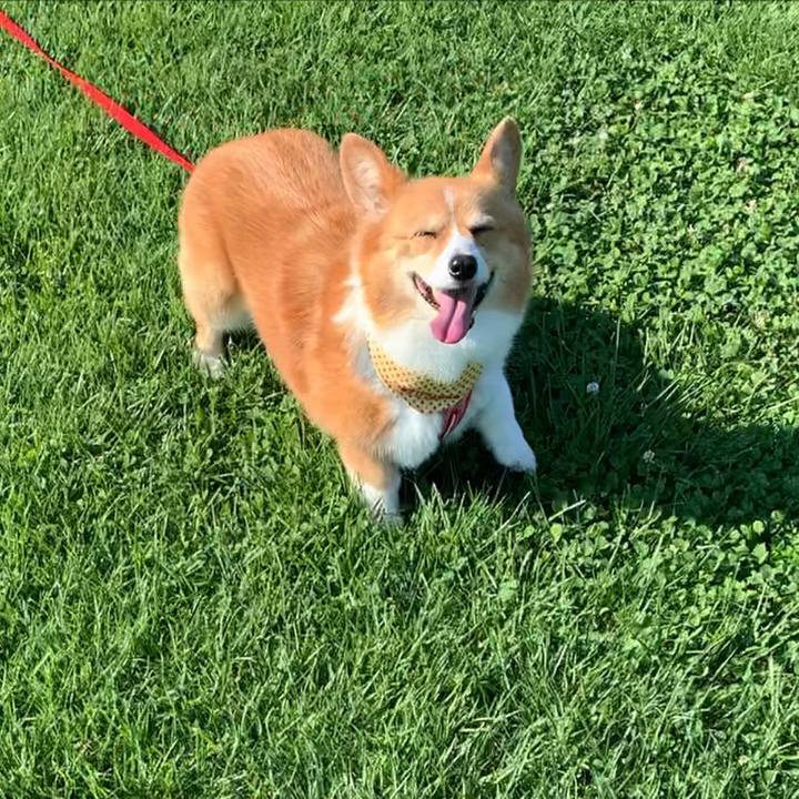 5412eff0 d38b 44fa 8bd2 55fdb2a376a2 1656632073960