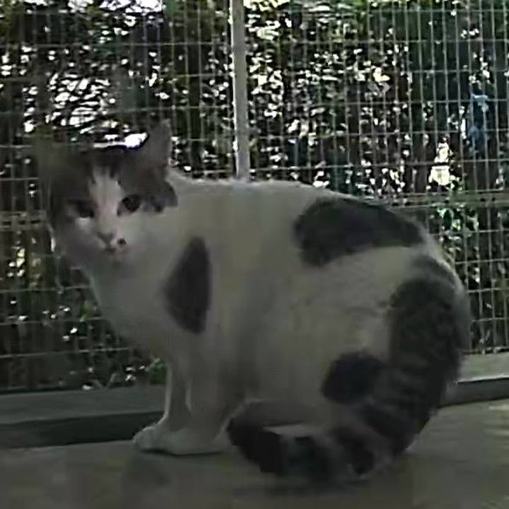 5412fbc6 8130 459a 955f 81824d446671 1733797683908