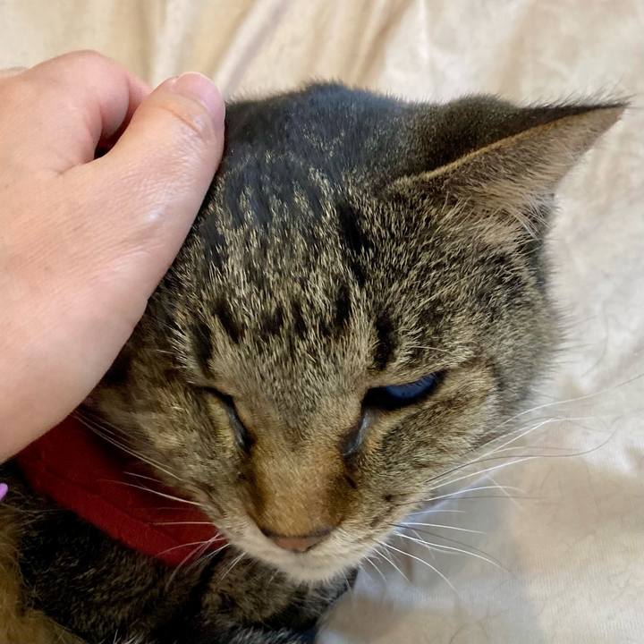 54135475 d53a 40fb a4e5 f7978bf7e06f 1682040431579