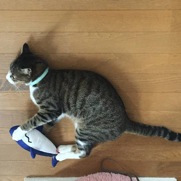 541358ea fcd3 42b8 8226 1c8bf5568b46 1699267623665