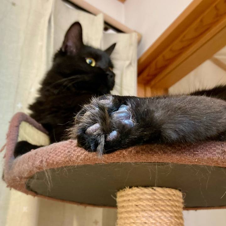 54135c8d 836f 4fae 9dbd 2c77fb21ba38 1722405489609