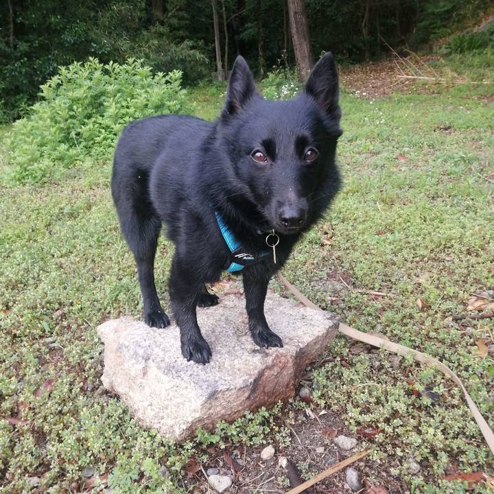 5413744e 68c1 4d62 adb5 e7fa93426fd7 1652388925548