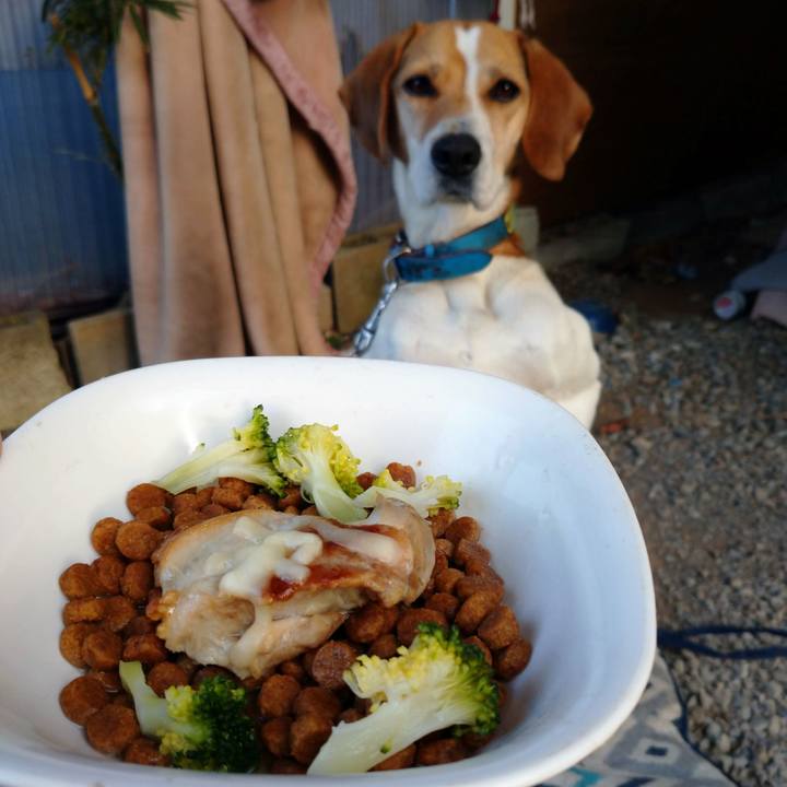 5413758f 9564 4c30 947e be1e46b7ced5 1613203303696