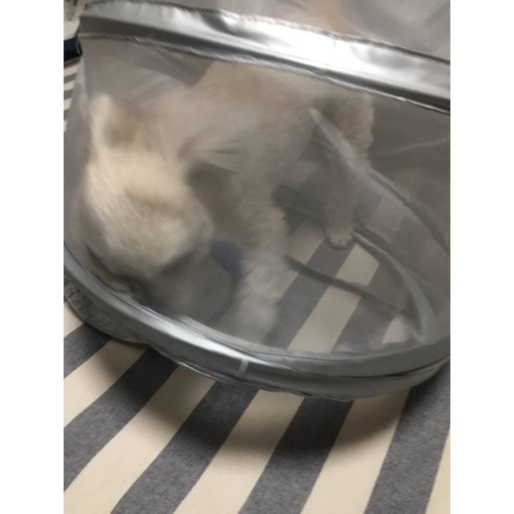 541382b0 73f9 44f7 a9f2 bfacbdb7e8e6 1520420612349