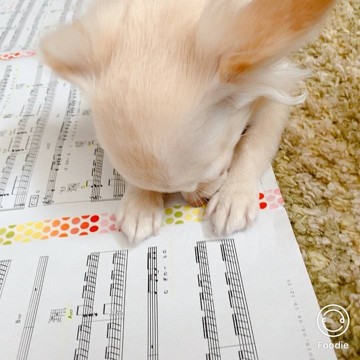 54140423 f79c 4fad a43d 14b788bce8e0 1599801581586