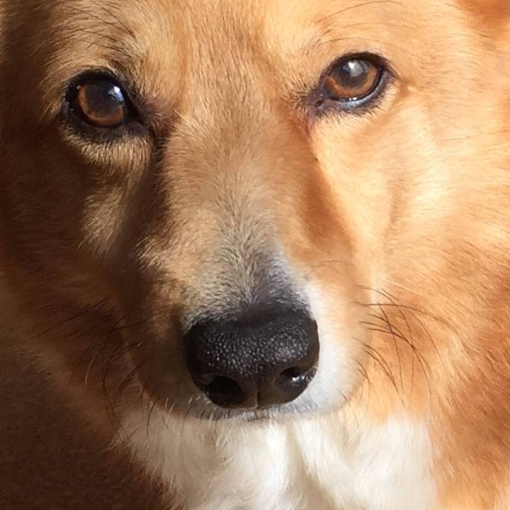 541410a6 32d6 4e8b aaec 26b82cf0e526 1523931346142