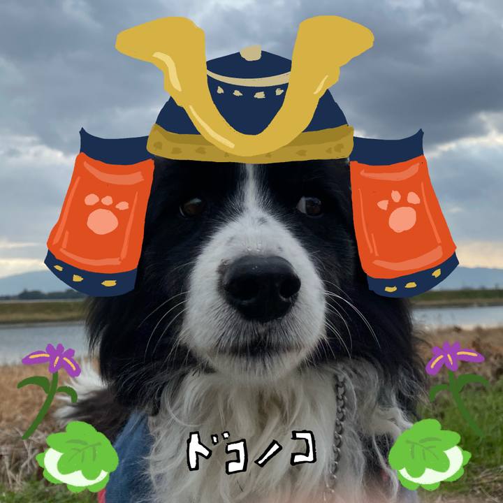 541426b4 1dce 4358 ba3f b82f1f452c3a 1714891924323