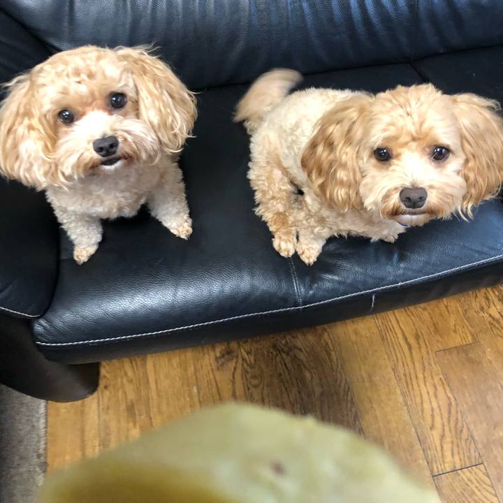 54142fcd 0fd1 4c05 a52a ba93b704ef93 1632641909245