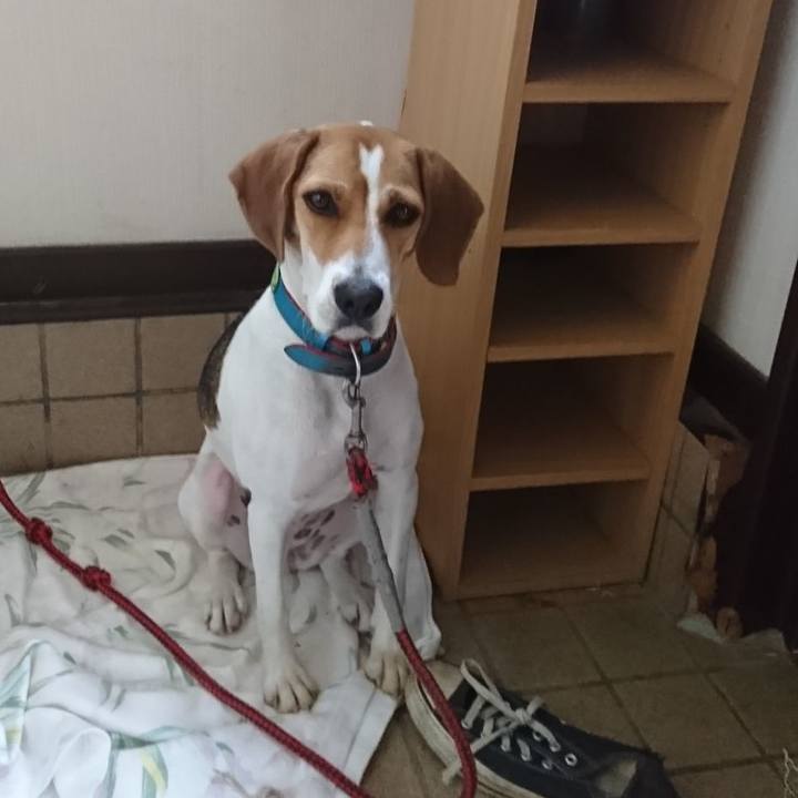 5414334d f240 4a71 aad8 1d50f98fefa4 1601028197837