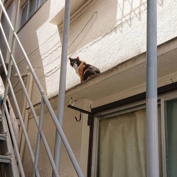 54143fdb fd09 4f63 8535 734d35126791 1586833806406