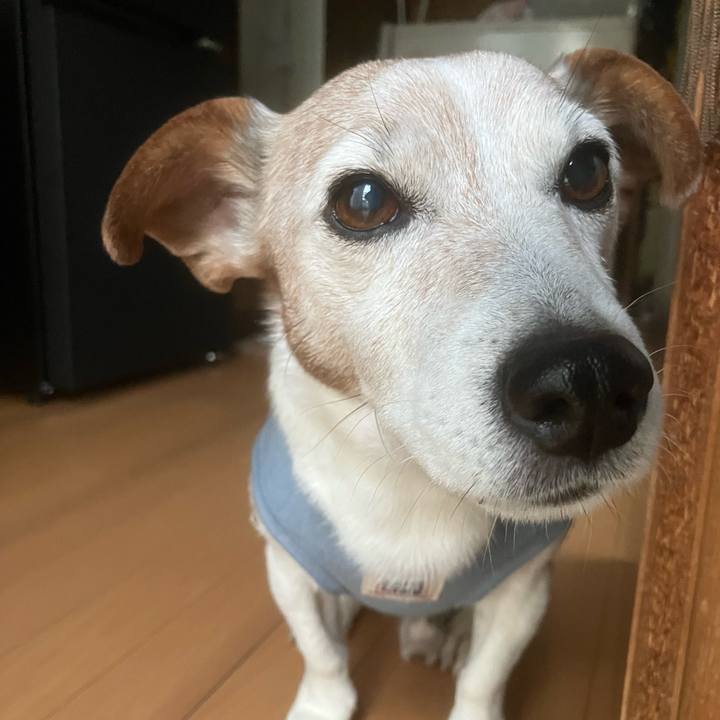 54145dd5 7cbb 4365 a50c 1e00195c758e 1762561305644