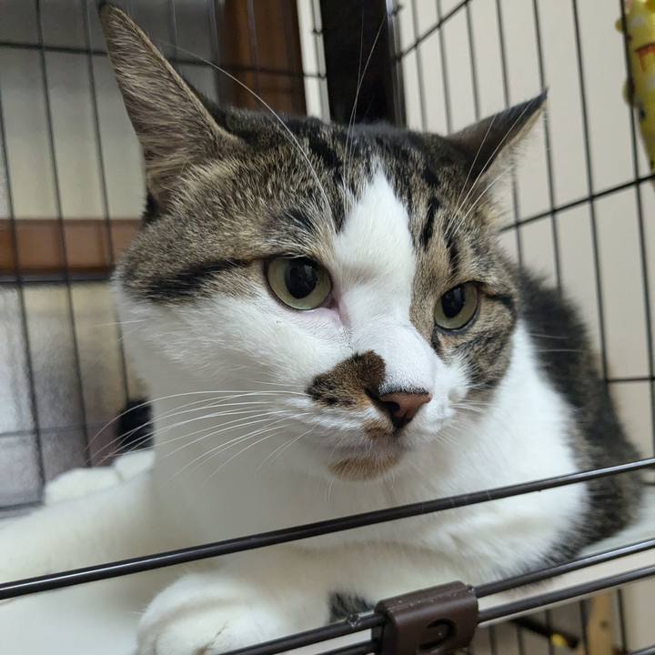 54146125 ac58 4f87 9a81 4bcdb36c8f43 1727481967502