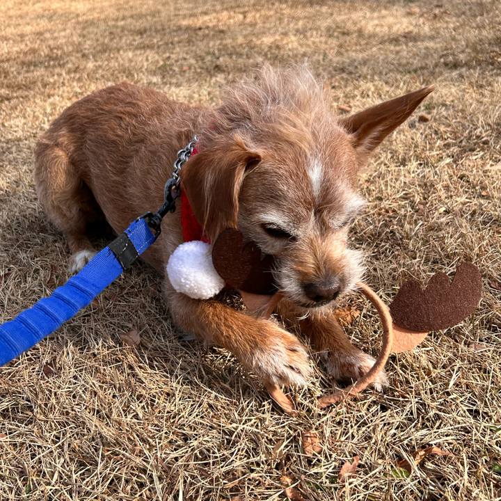 5414c39b dcd2 471f 9b10 2a6e6eb510ac 1766711648048