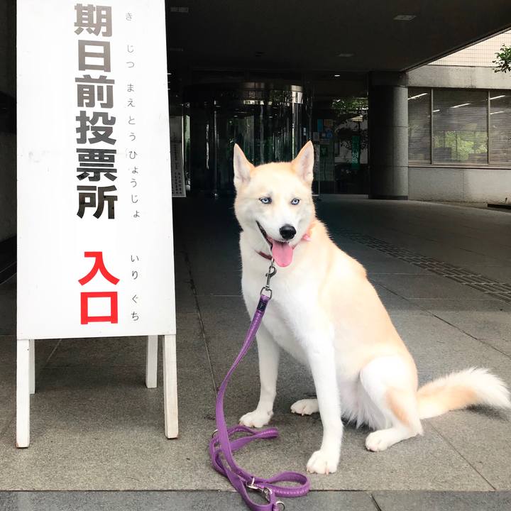 54155578 8d1d 4aca 9855 5a95272f26e6 1563333871676