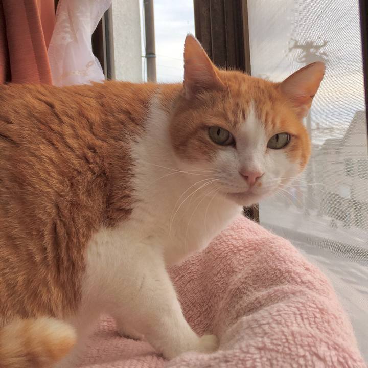 5415b993 8f46 4416 9516 a6fb6466a5af 1573186655331