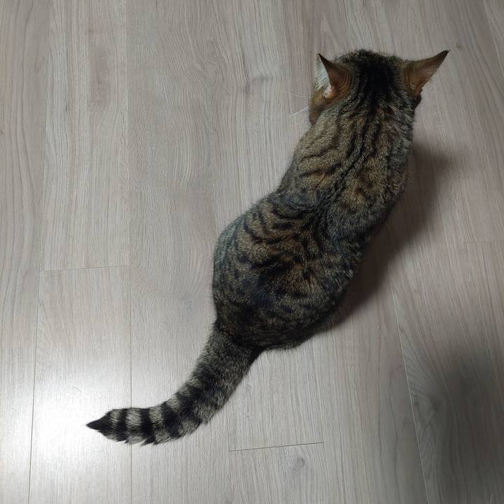 5415d9ea 4c10 408f abf2 6967ad2085ff 1634766257675