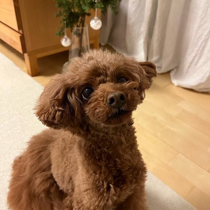 541637e8 2244 4eef 97f5 4e7004d0ca57 1640344237922