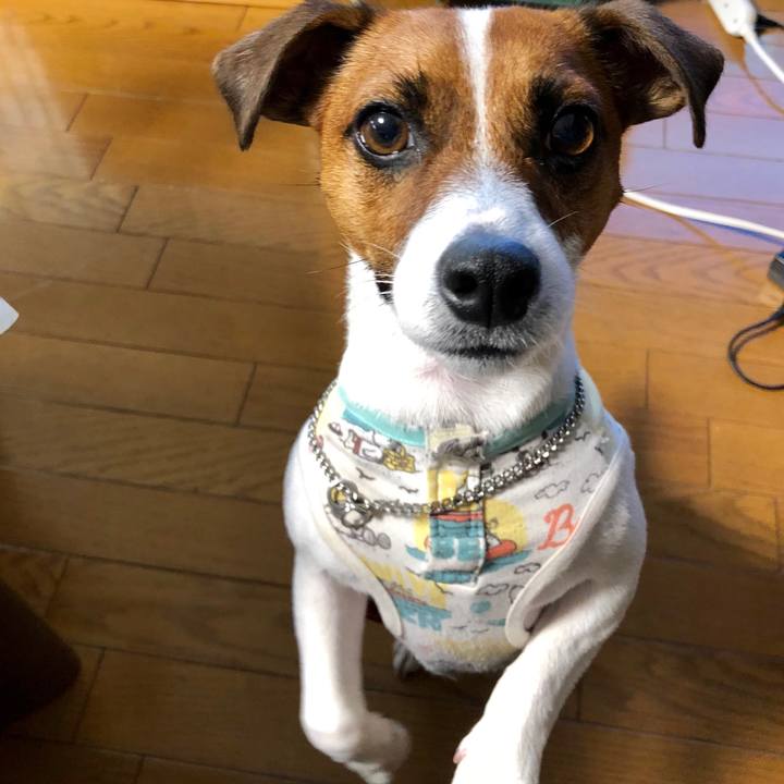 541641bc 9f09 4293 8643 10afe20896b2 1567126845582