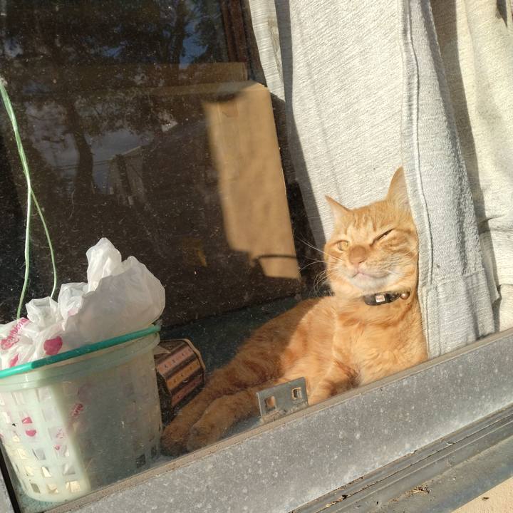 54164cd4 c468 429c bc8d c21ce66baf80 1667033887487