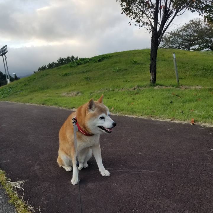 541681eb 8c7b 442f b7b8 bdea44844302 1729150174651