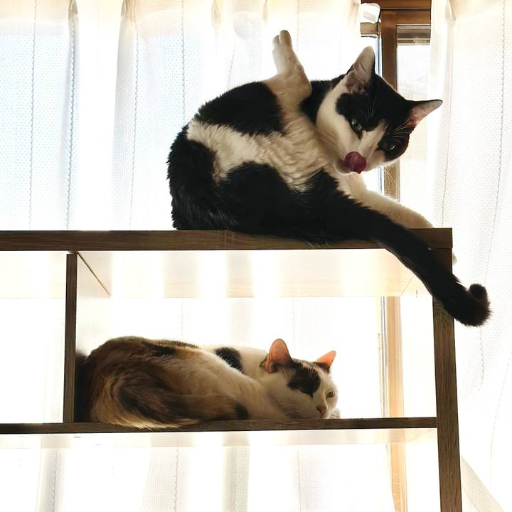 54169022 1dca 42a9 be68 7a299ea253b3 1698544743111