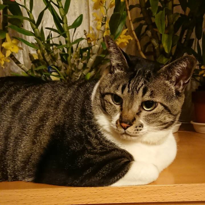 5416a3b1 3c8a 41b2 a65a 686e942c029c 1551711390259