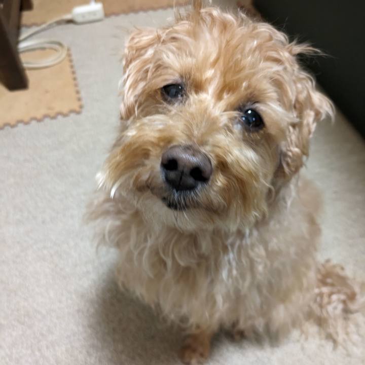 5416d07a 20ac 4eb7 b021 2c8c4e3dbc3a 1712923911016