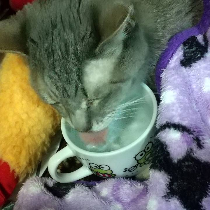 5416f08b e5f4 4464 8992 3b64c460369e 1699701073012